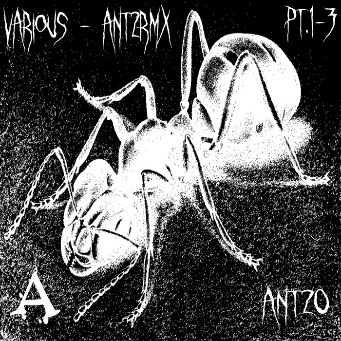 VARIOUS - ANT2RMX Remixes