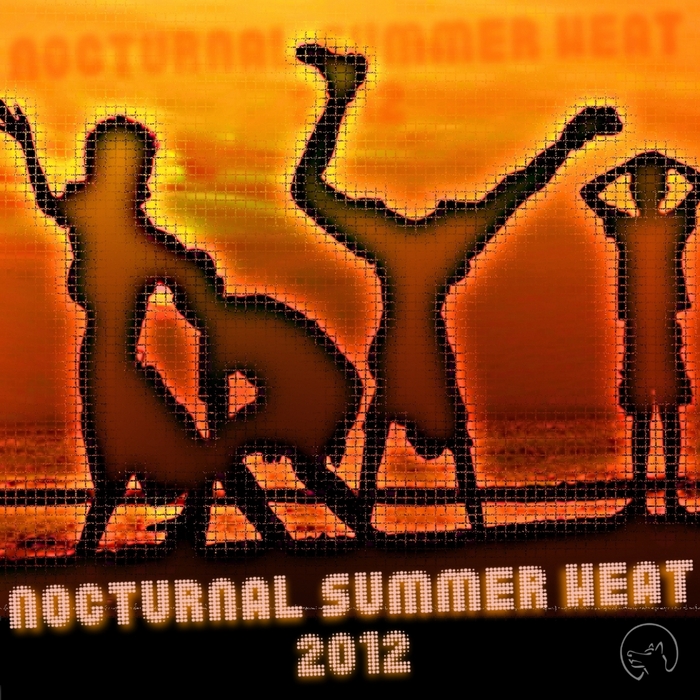 VARIOUS - Nocturnal Summer Heat 2012