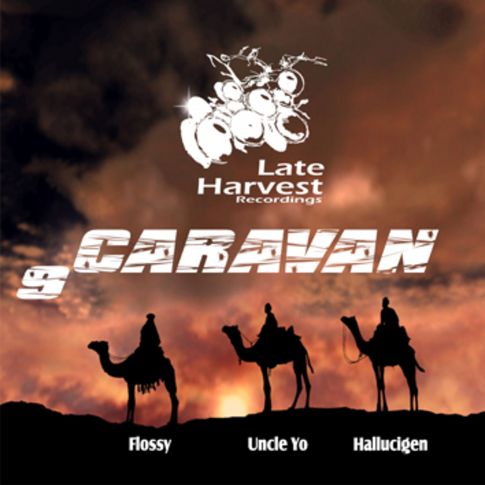 FLOSSY/UNCLE YO/HALLUCIGEN - Vol 9 Caravan