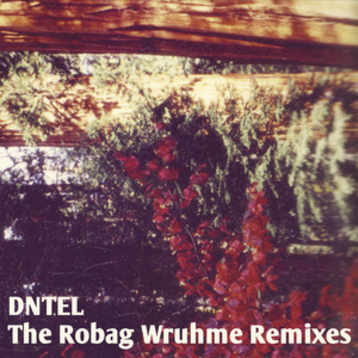 DNTEL - The Robag Wruhme (remixes)