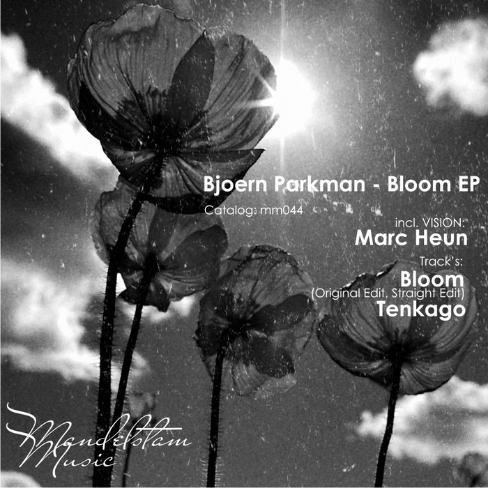 BJOERN PARKMAN - Bloom EP