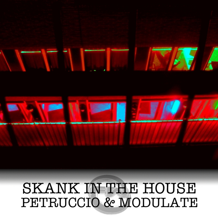 PETRUCCIO & MODULATE - Skank In The House