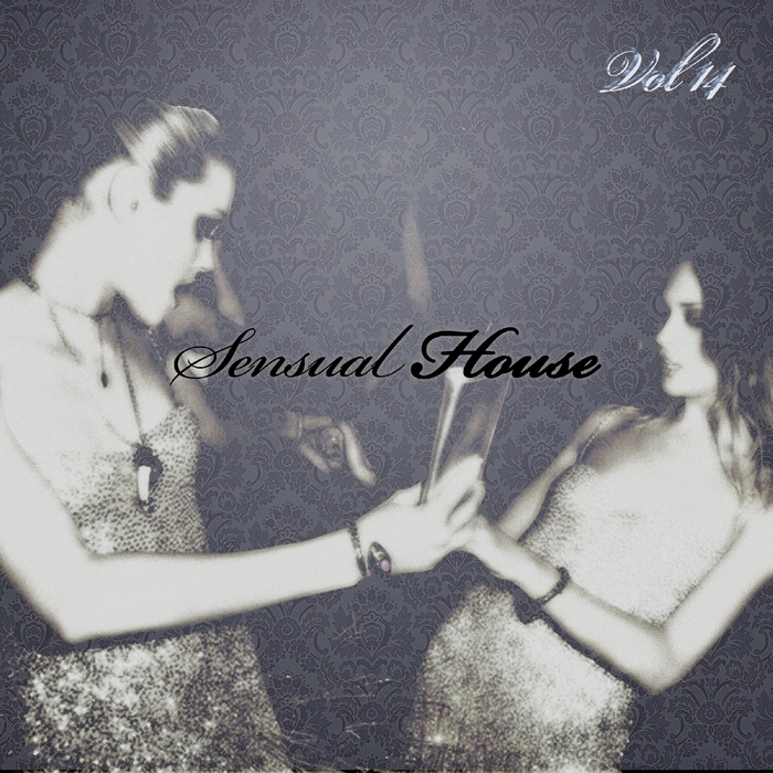 VARIOUS - Sensual House Vol 14