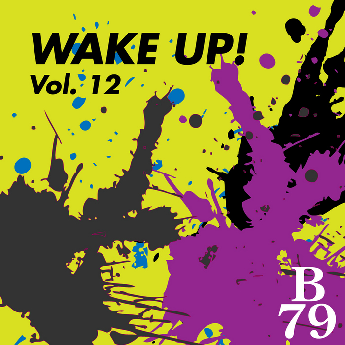 VARIOUS - Wake Up Vol 12