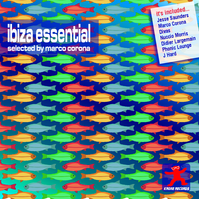 VARIOUS - Ibiza Essential Selection