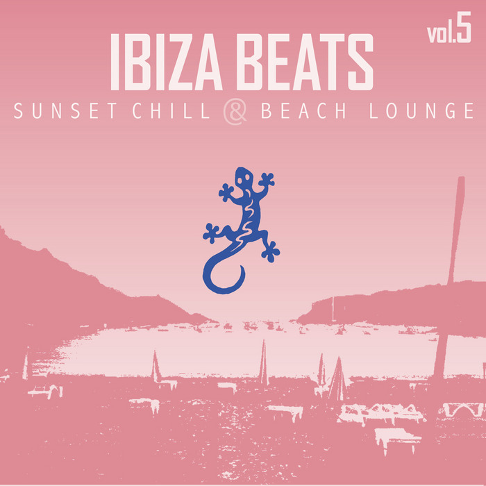 VARIOUS - Ibiza Beats: Volume 5