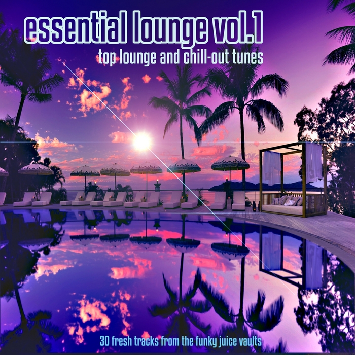 Various Essential Lounge Vol 1 Top Lounge And Chillout Tunes 30 Fresh Tracks From The Funky 9887