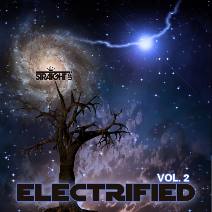 VARIOUS - Electrified Vol 2