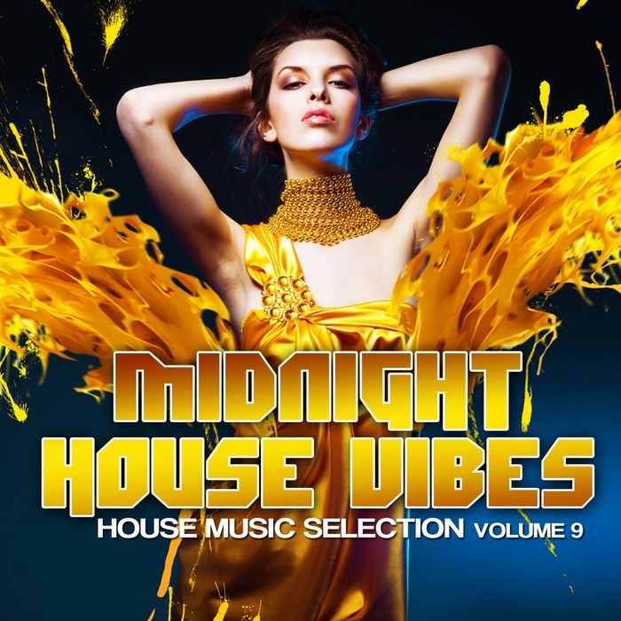 VARIOUS - Midnight House Vibes Vol 9 (House Music Selection)