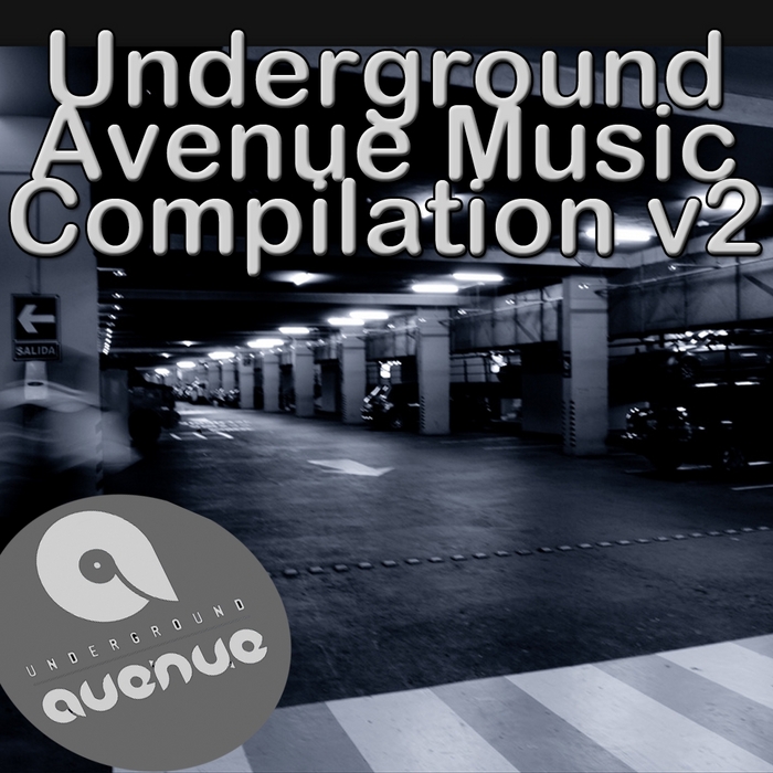 VARIOUS - Underground Avenue Music Compilation V 2