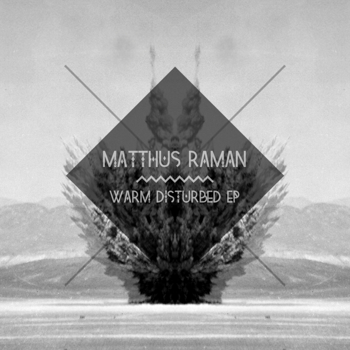 RAMAN, Matthus - Warm Disturbed EP