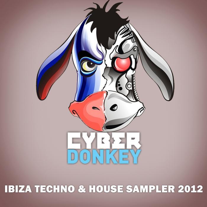 VARIOUS - Ibiza Techno & House Sampler 2012
