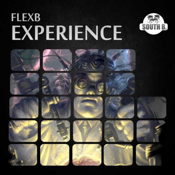 FLEXB - Experience