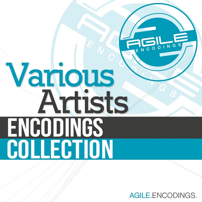 VARIOUS - Encodings Collection