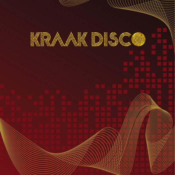 VARIOUS - Kraak Disco