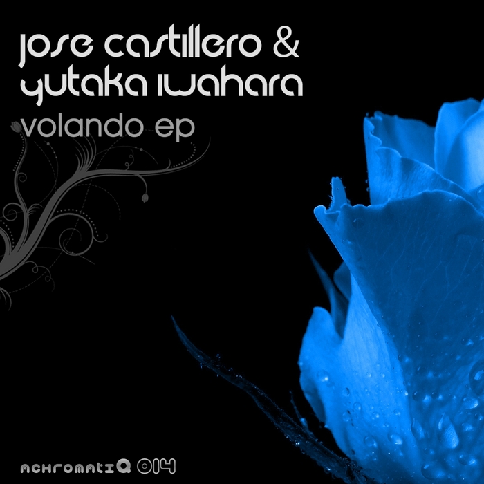 CASTILLERO, Jose/YUTAKA IWAHARA - Volando EP