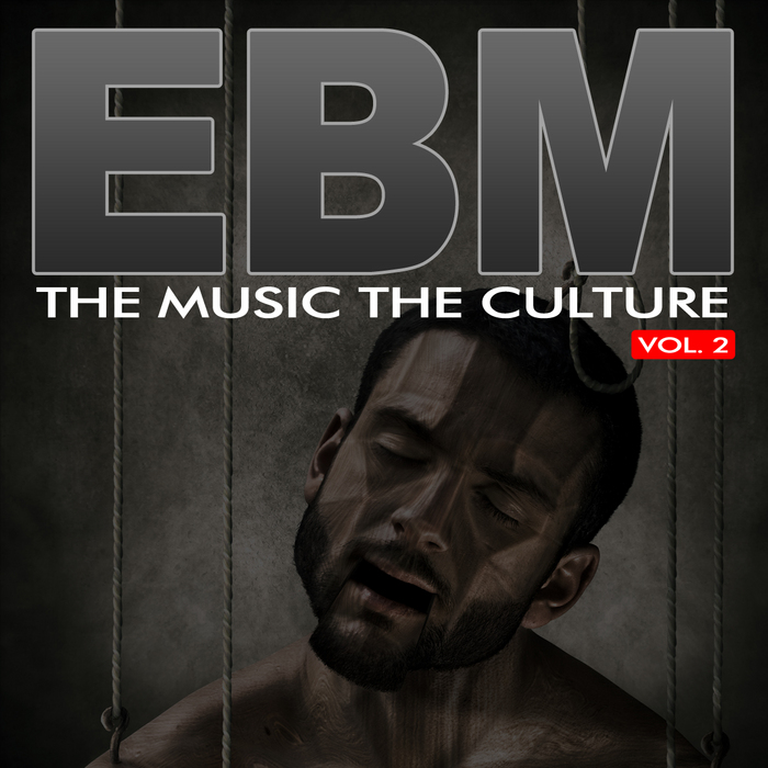 VARIOUS - The Music The Culture: EBM Vol 2