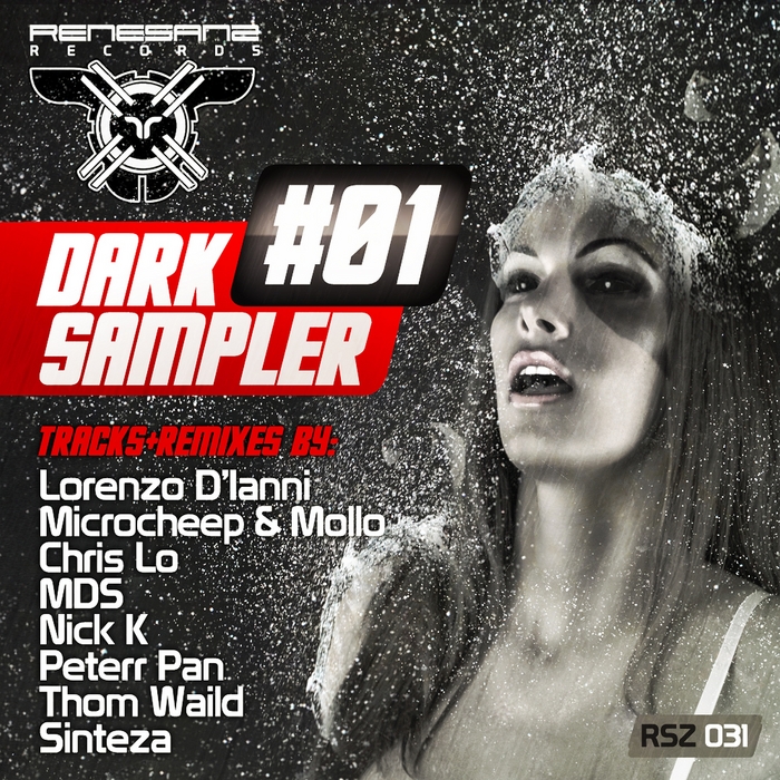 VARIOUS - Renesanz Records Presents Dark Sample Vol 1