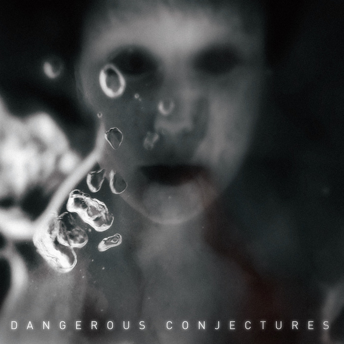 VARIOUS - Dangerous Conjectures