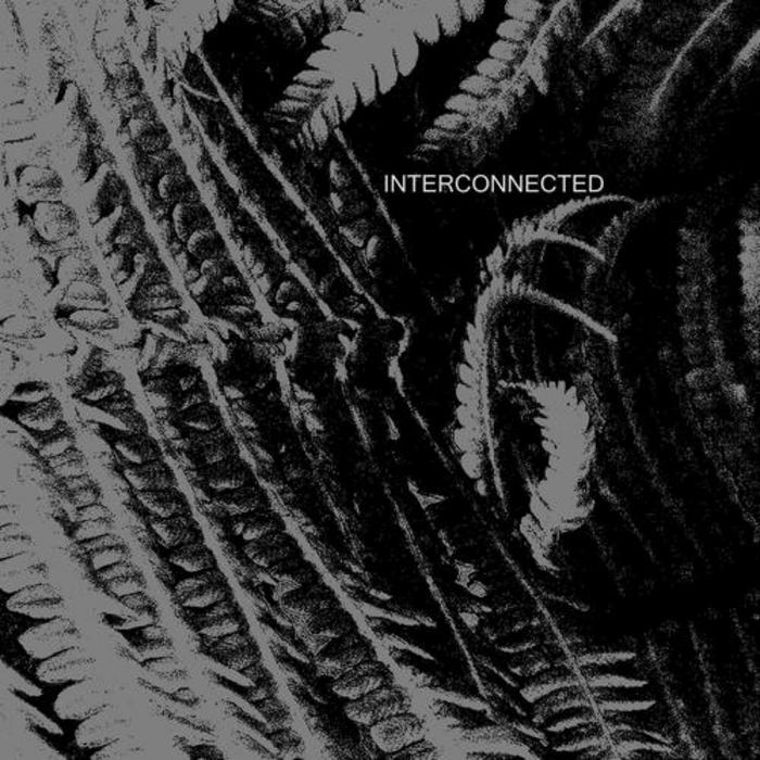 PANTELIS, Kostas/ALCHESOUND/REDEMPTION CREED/DREAMZONEFREQUENCY - Interconnected