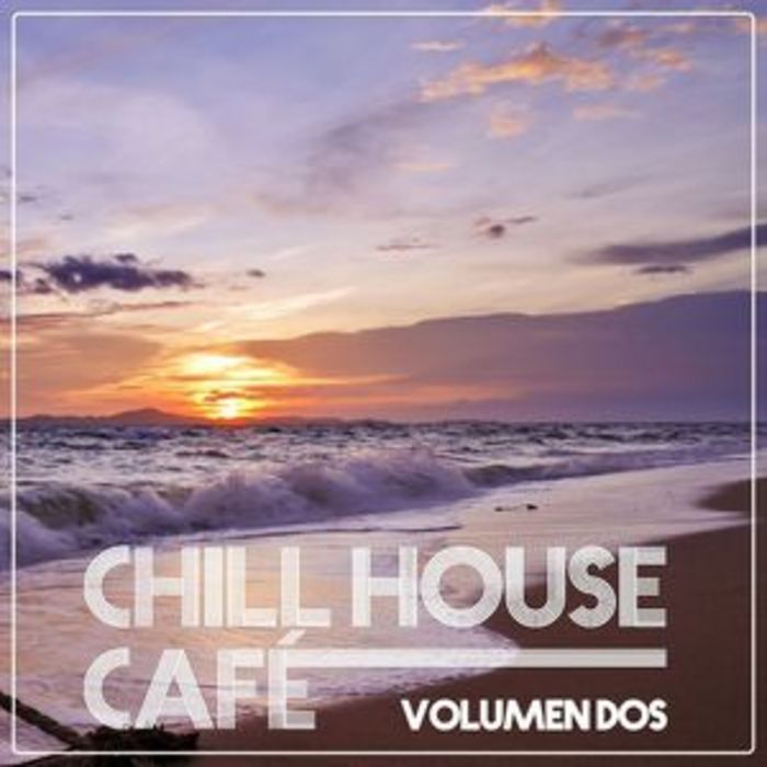VARIOUS - Chill House Cafe Vol Dos Chill House Flavours