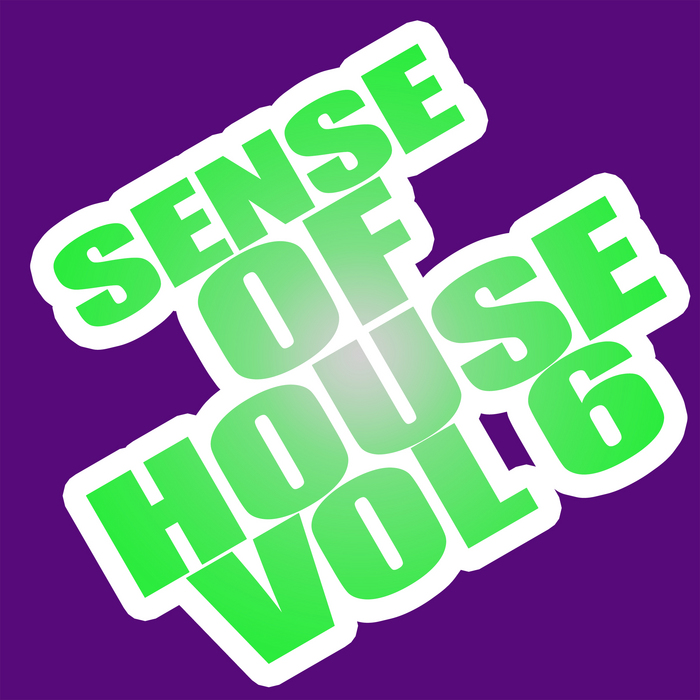 VARIOUS - Sense Of House Vol 6