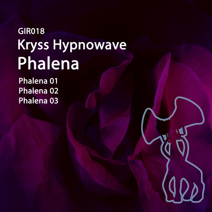 HYPNOWAVE, Kryss - Phalena