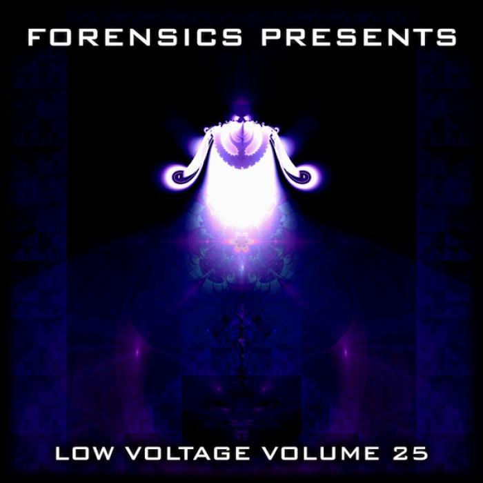 VARIOUS - Forensics Presents Low Voltage Volume 25