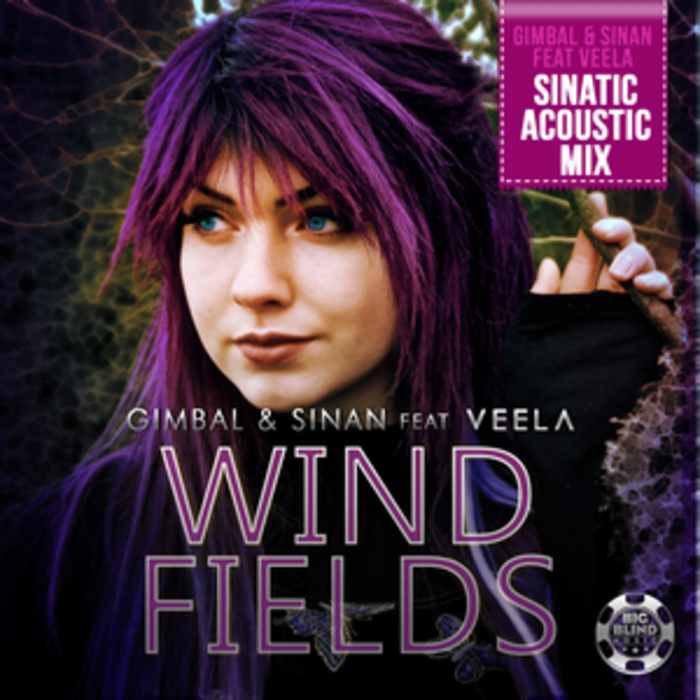 GIMBAL/SINAN feat VEELA - Windfields