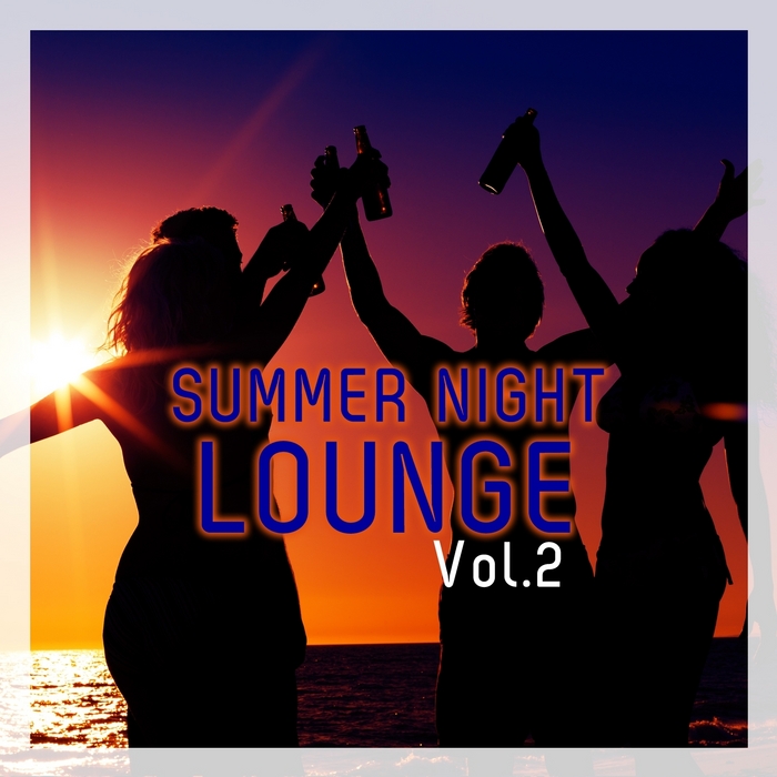 VARIOUS - Summer Night Lounge Vol 2