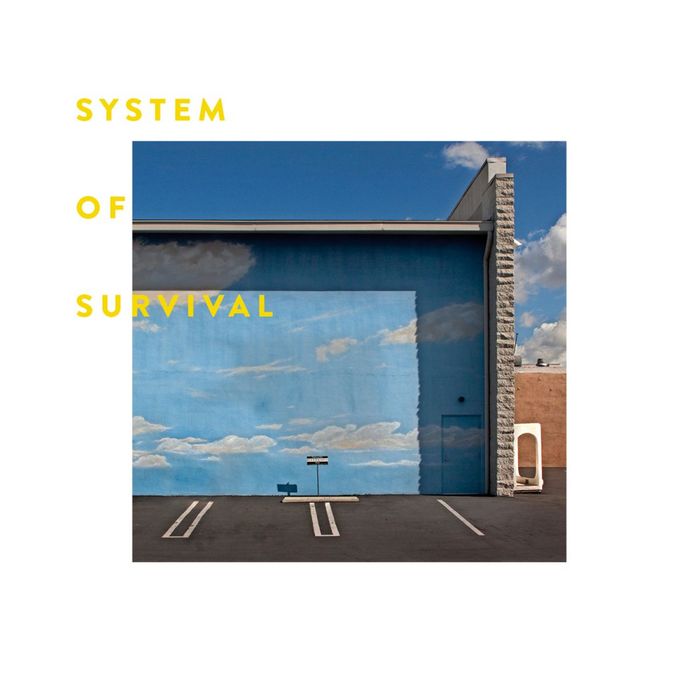 SYSTEM OF SURVIVAL - Needle & Thread