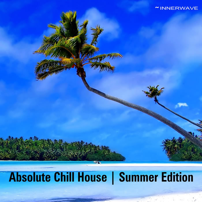 VARIOUS - Absolute Chill House