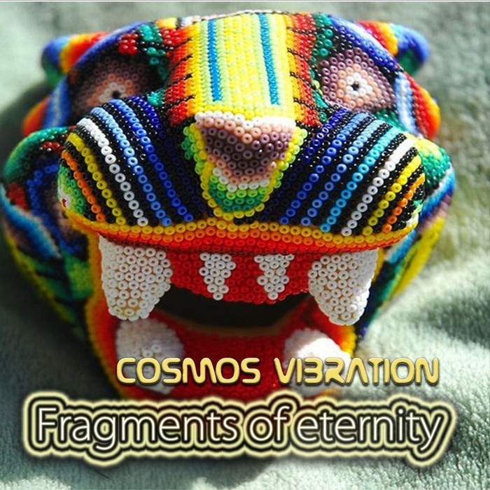 COSMOS VIBRATION - Fragments Of Eternity