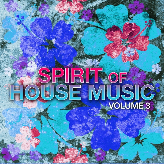 VARIOUS - Spirit Of House Music Vol 3
