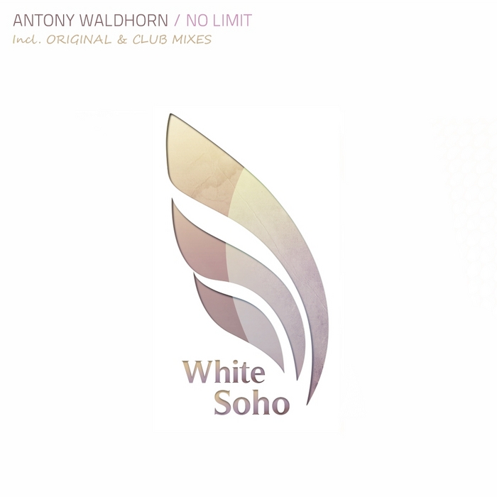 WALDHORN, Antony - No Limit