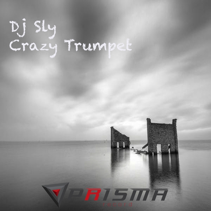 DJ SLY - Crazy Trumpet