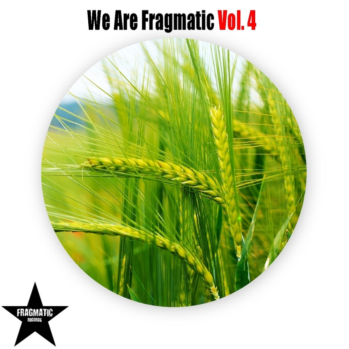 VARIOUS - We Are Fragmatic Vol 4