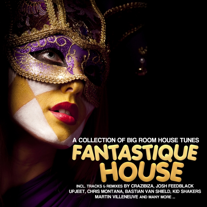 VARIOUS - Fantastique House Edition 6