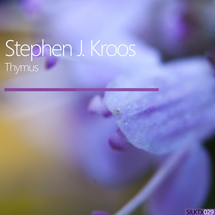 STEPHEN J KROOS - Thymus