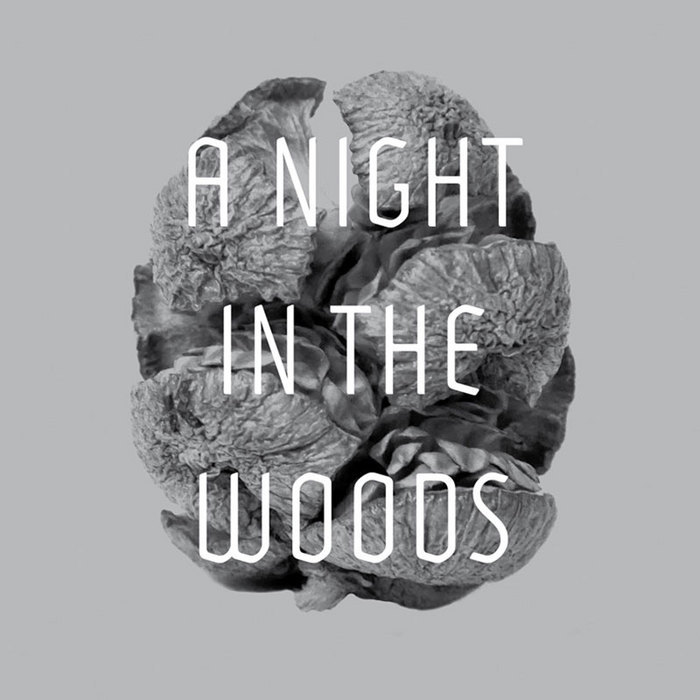 FRIEDMAN, Tyler - A Night In The Woods