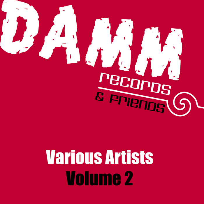 VARIOUS - Damm Records & Friends Vol 2