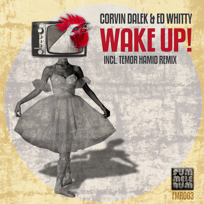 CORVIN DALEK/ED WHITTY - Wake Up