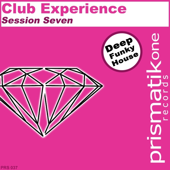 VARIOUS - Club Experience Session Seven