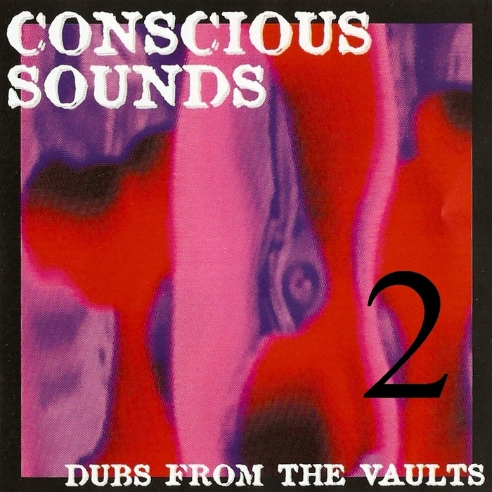 VARIOUS - Conscious Sounds Presents Dubs From The Vaults 2