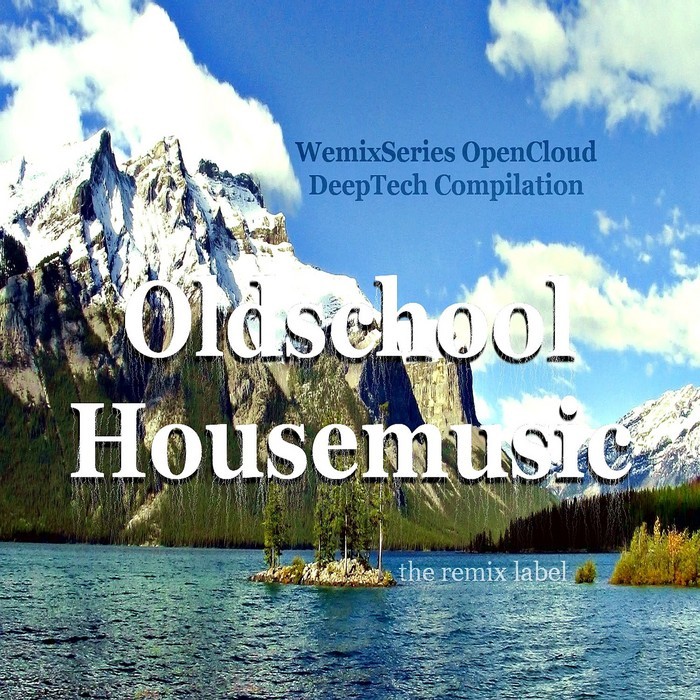 VARIOUS - Oldschool Housemusic (WemixSeries Proton)