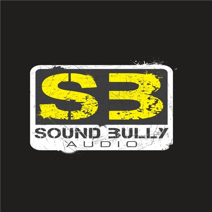 DUB PROFESSORS/SQUAD - Sound Get Bullied EP