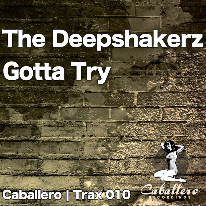 DEEPSHAKERZ, The - Gotta Try