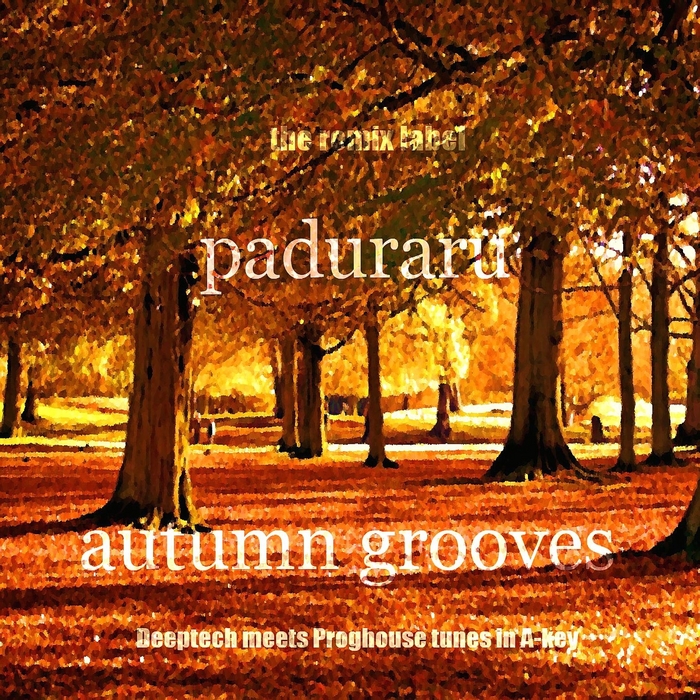 VARIOUS - Autumn Grooves (Deeptech Meets Proghouse Tunes In A Key)