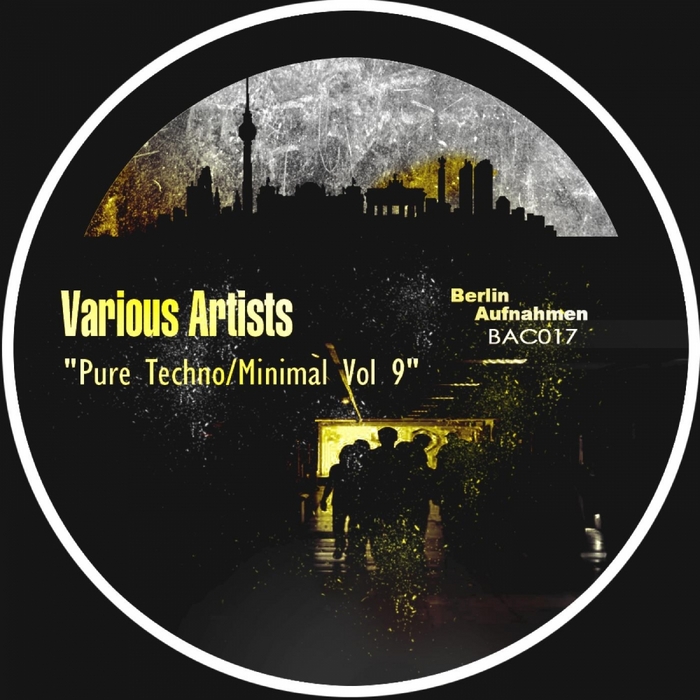 VARIOUS - Pure Techno: Minimal Vol 9