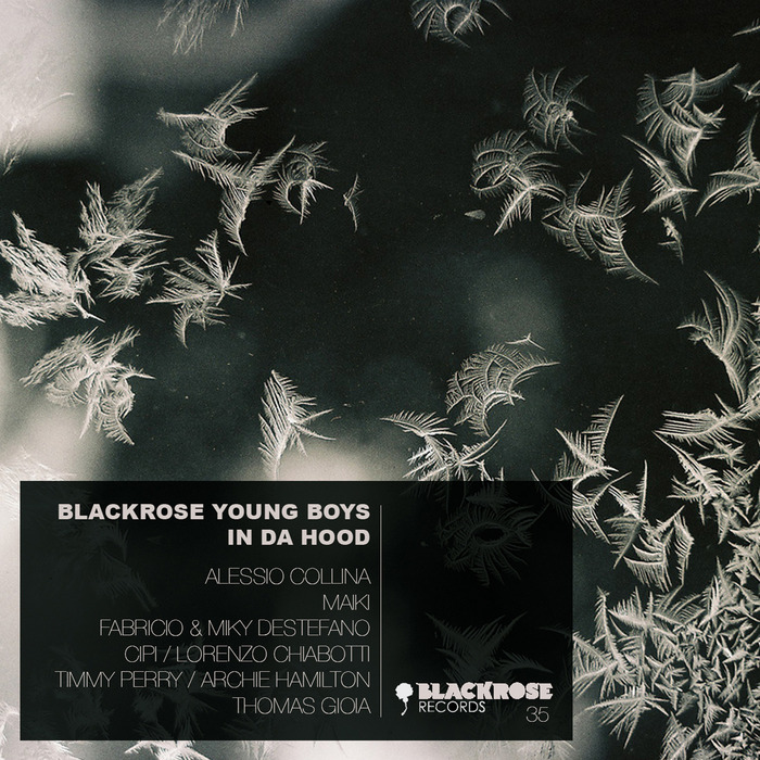 VARIOUS - Blackrose Young Boys In Da Hood